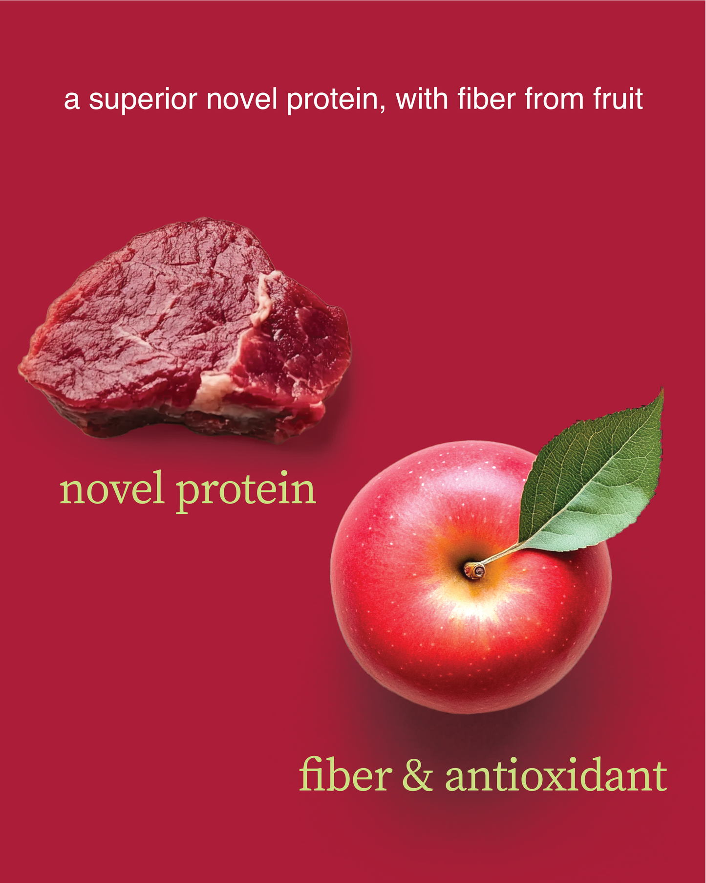 Bison and Apple Snacks