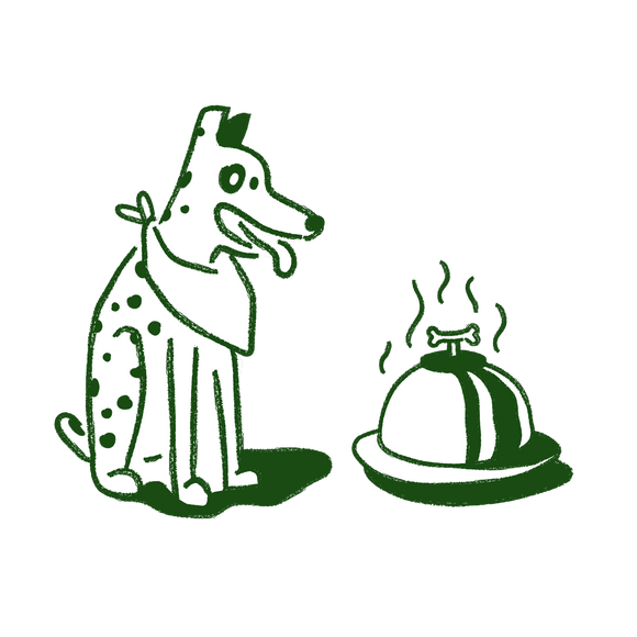 How to Use BigDog Natural